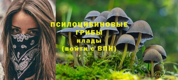 кокаин премиум Краснослободск