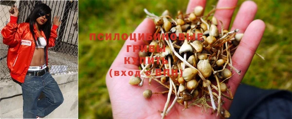 скорость Краснотурьинск