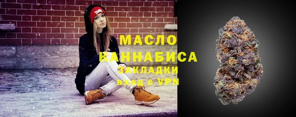 гидра Костерёво