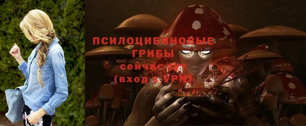 первитин Коряжма