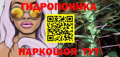 бошки Кинель