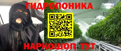 бошки Кинель