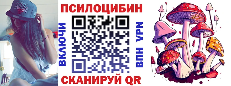 кракен ТОР  Мелеуз  Галлюциногенные грибы Psilocybine cubensis 